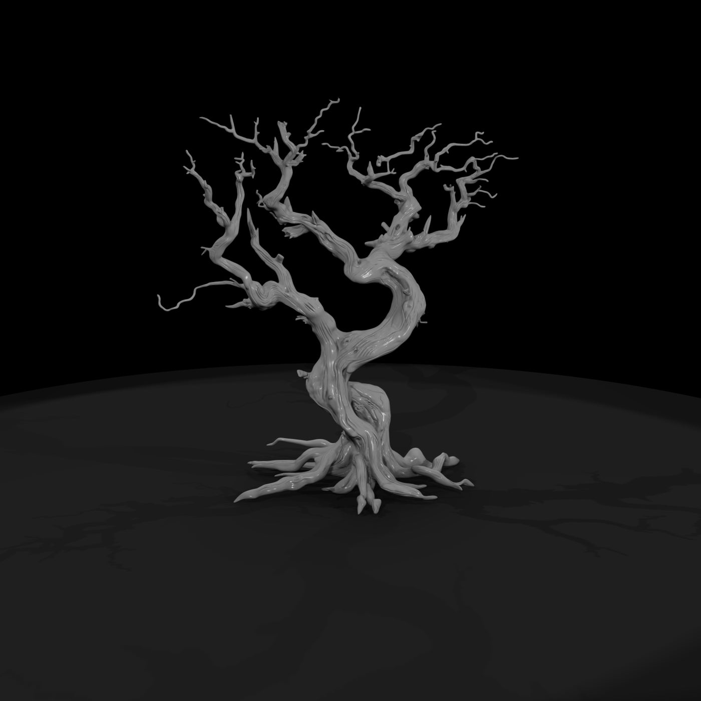 20260612-ancient-twisted-dead-tree-cfc565e291