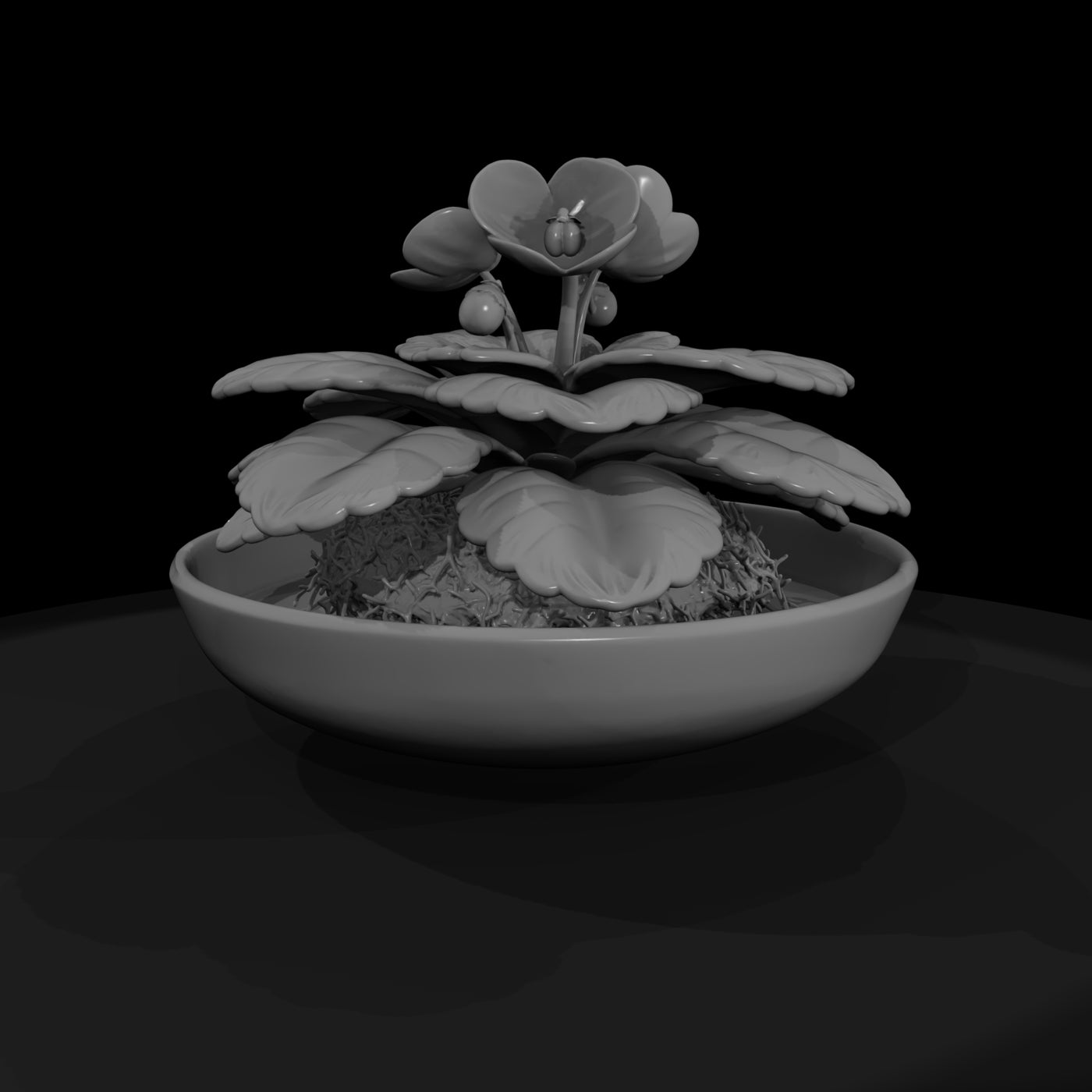 potted-african-violet-miniature-3d-printable-462562