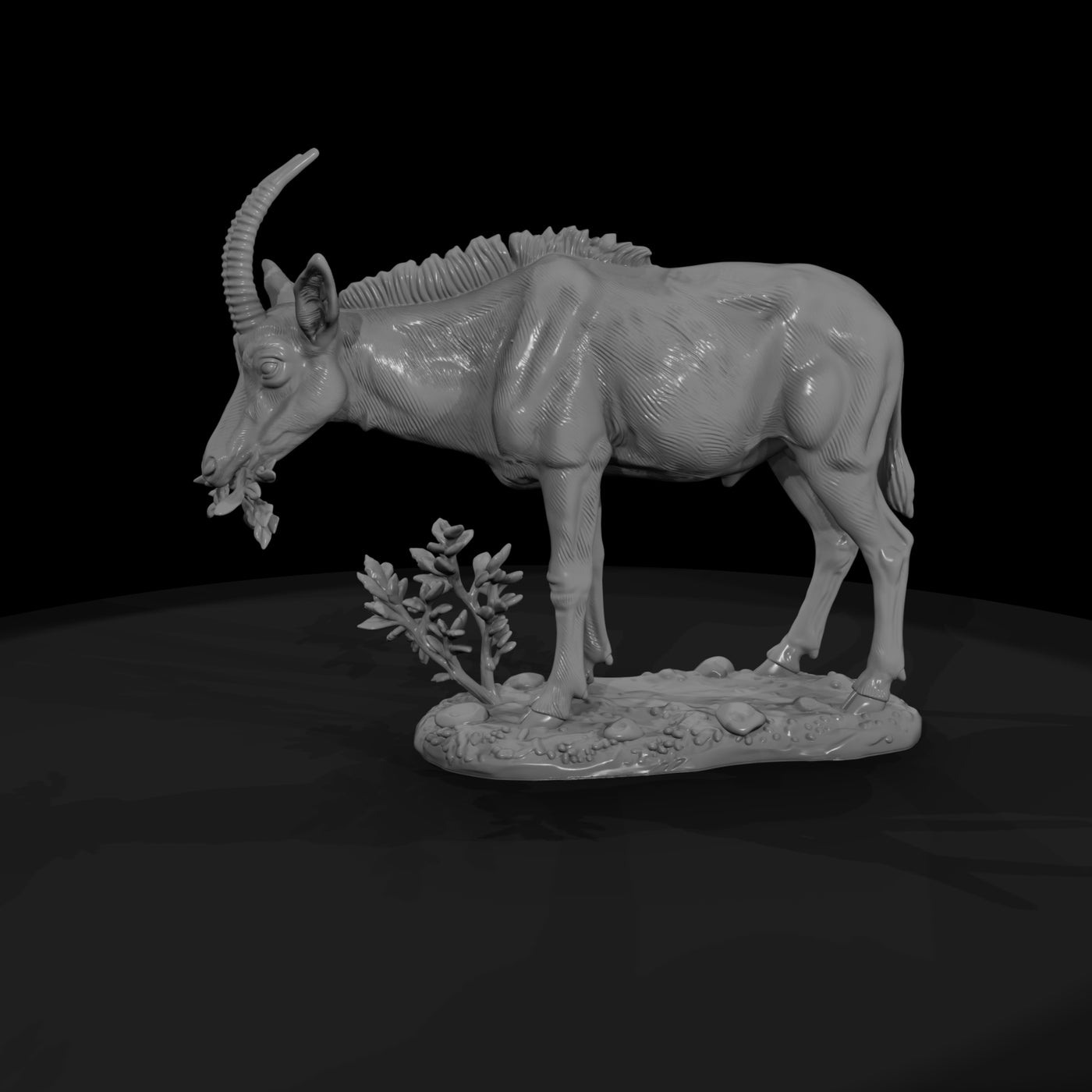 ant-233-sable-antelope-female