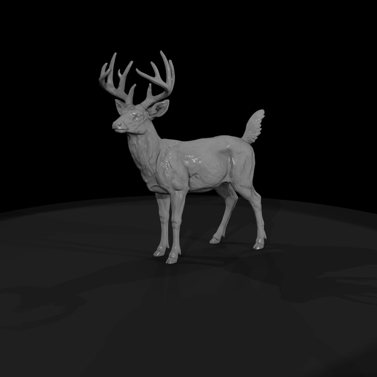 ant-070-white-tailed-deer-male