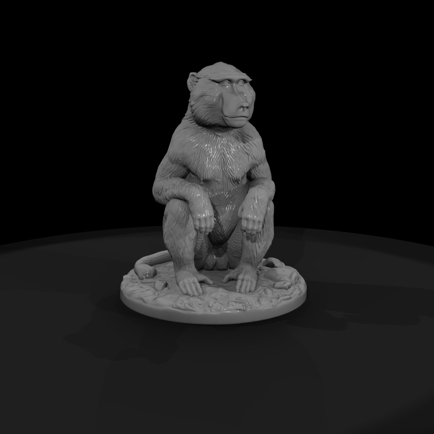 Ant 197 Olive Baboon Female