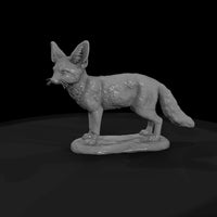 ant-176-fennec-fox-female-0742f7 — thumbnail 5