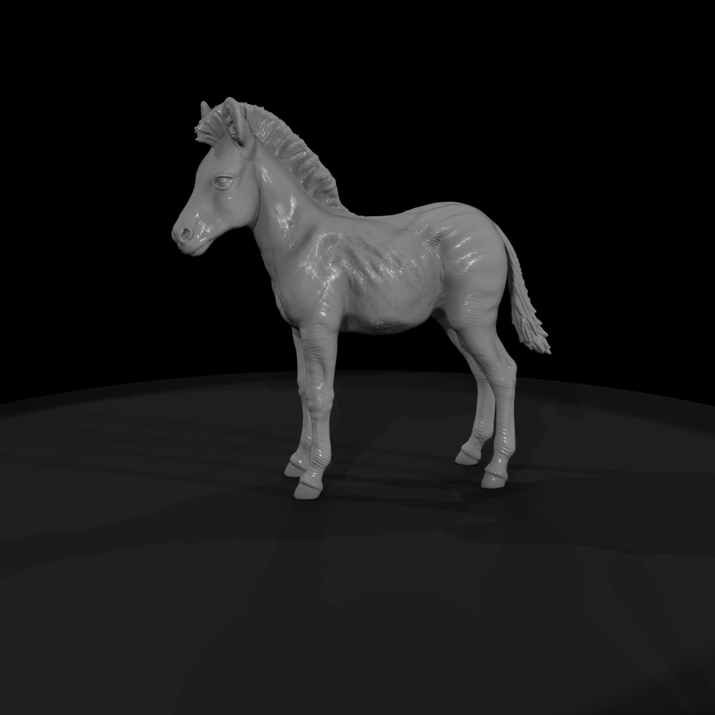 ant-030-plains-zebra-adolescent