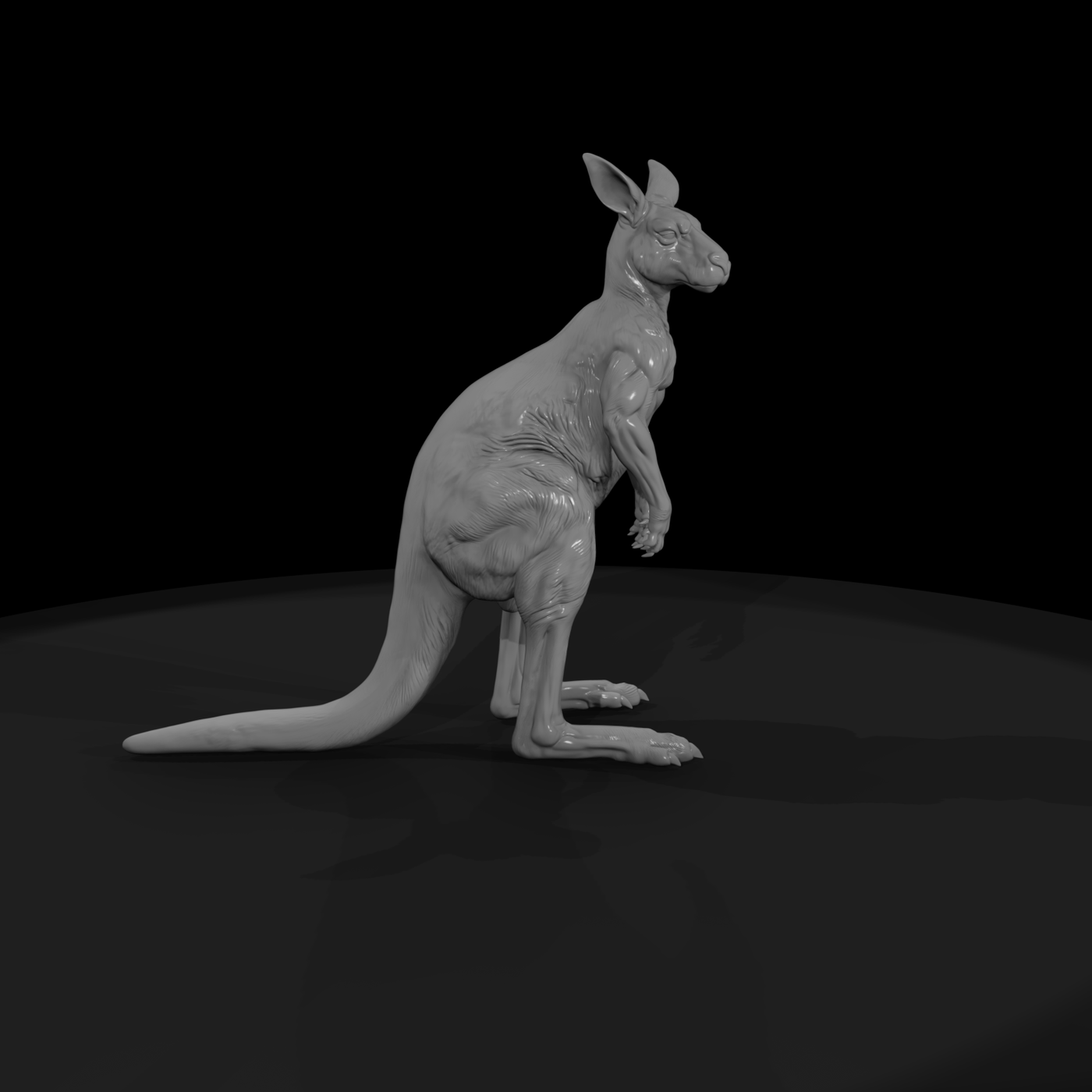 Ant 079 Red Kangaroo Male