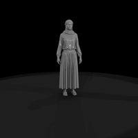 middle-eastern-female-truck-driver-with-light-truck-3d-printable-miniature-915068 — thumbnail 4