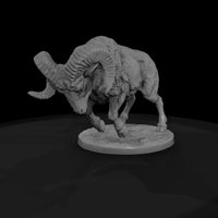 ww-0305-animal-ram — thumbnail 4
