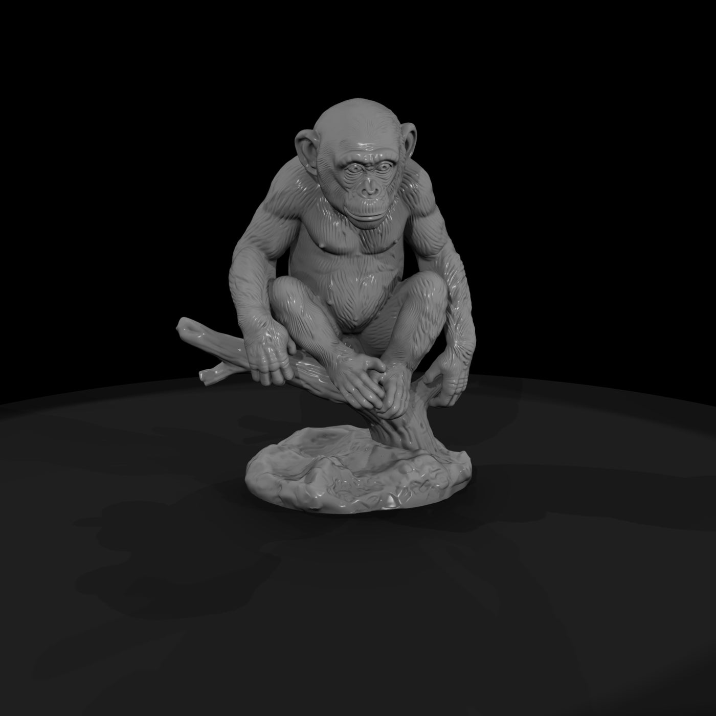 ant-195-chimpanzee-adolescent