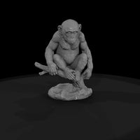 ant-195-chimpanzee-adolescent — thumbnail 4