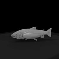 chinook-salmon-miniature-3d-printable-899972 — thumbnail 5