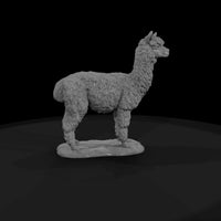 ant-220-alpaca-male — thumbnail 4