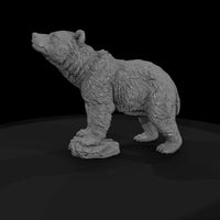 ant-021-grizzly-bear-adolescent — thumbnail 4