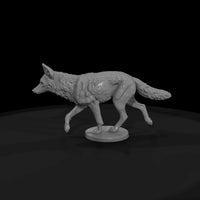 ww-0312-animal-coyote — thumbnail 4