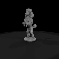 cir-118-animal-poodle-act — thumbnail 4