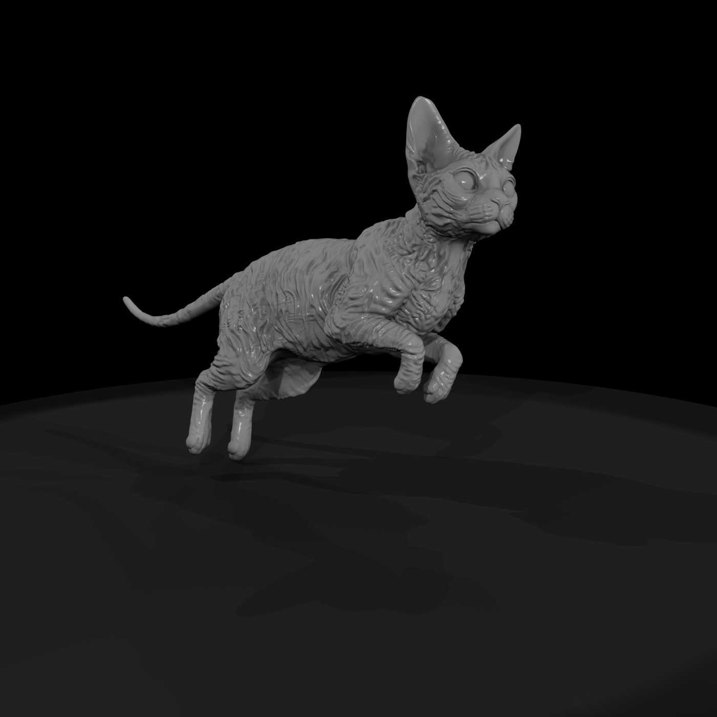A Collection Of Housecats Cornish 1F45C53C Meshref
