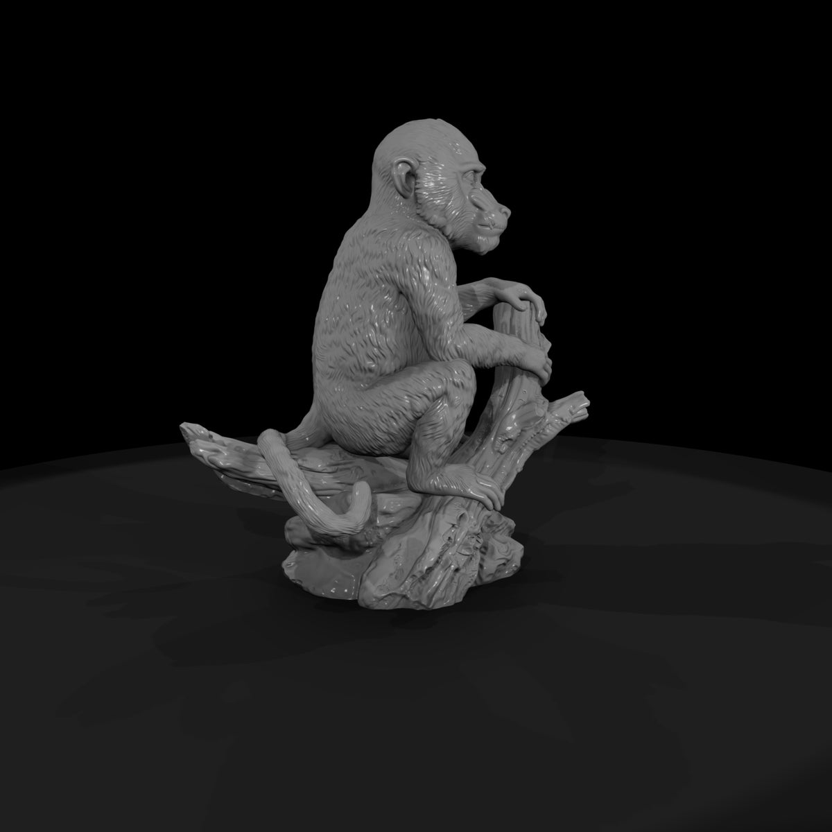 ant-108-mandrill-adolescent