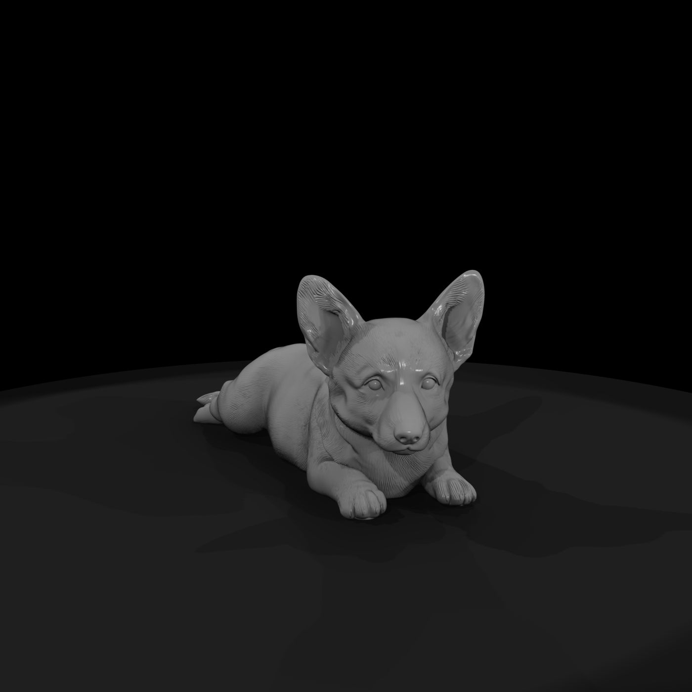 Resting Puppy