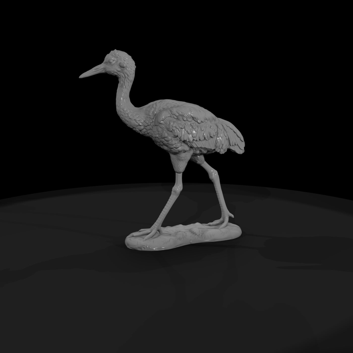 ant-132-sandhill-crane-adolescent