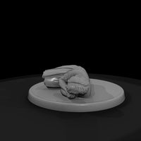 cas-1920s-14-at-rest-curled-68c146 — thumbnail 4
