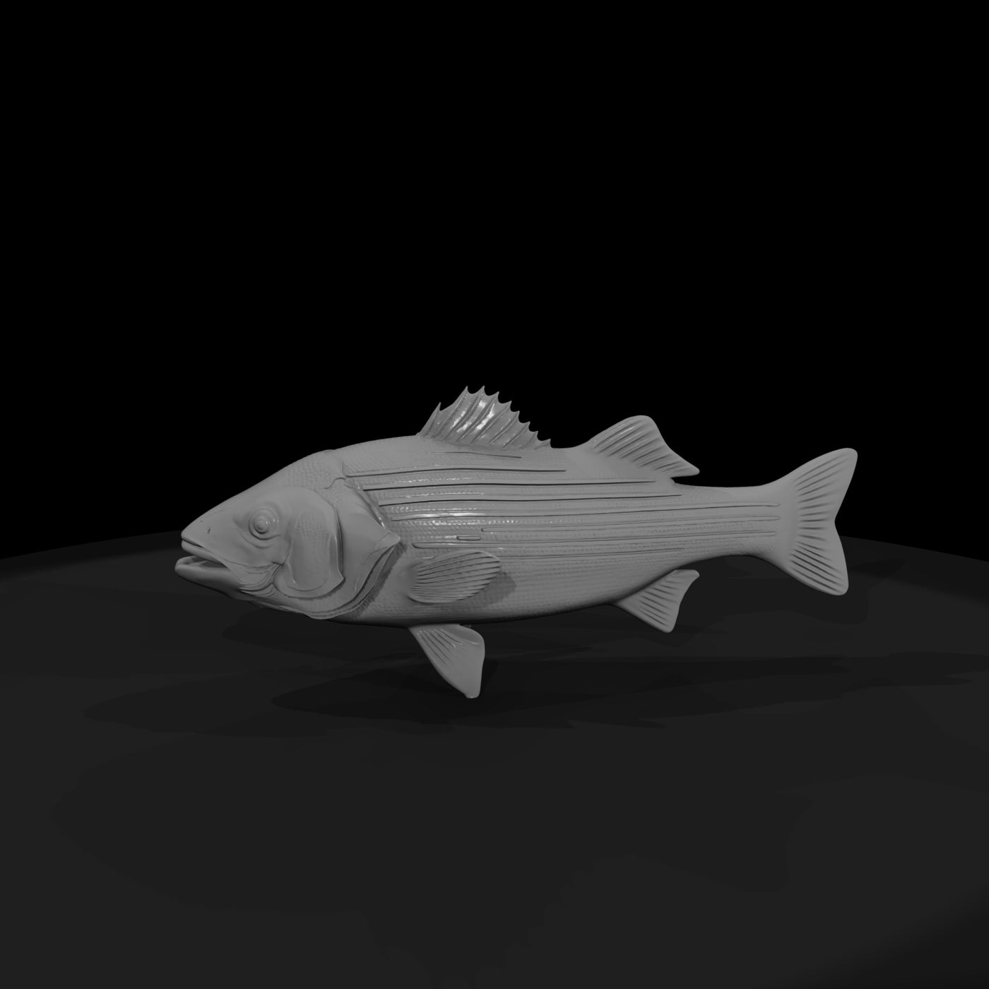 striped-bass-miniature-3d-printable-for-dioramas-model-railroads-886837