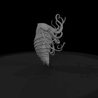 kraken-sea-monster-and-2a5fd4 — thumbnail 7