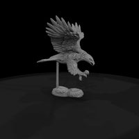 ww-0342-animal-golden-eagle — thumbnail 4