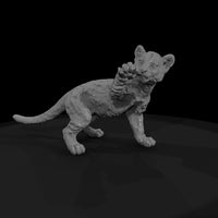 ant-147-cougar-adolescent — thumbnail 4