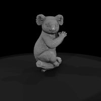 ant-266-koala-female — thumbnail 4