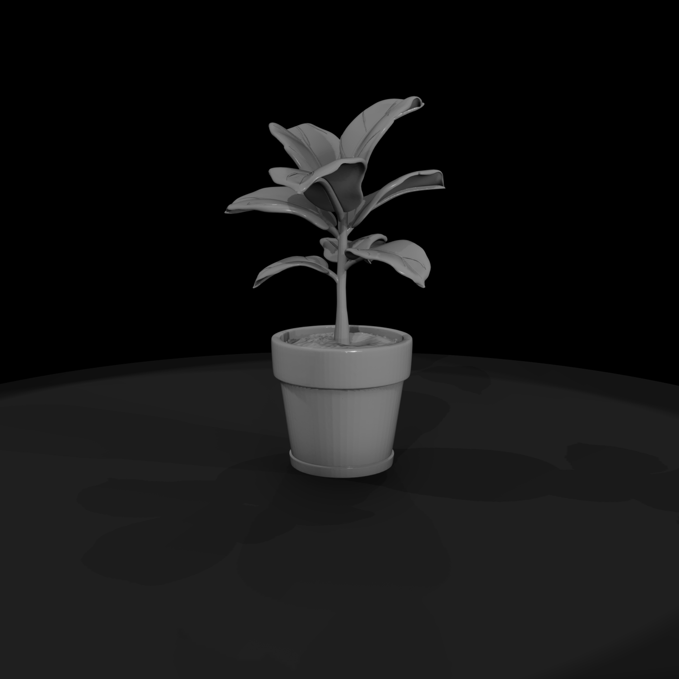 Stylized Monochrome Potted Fiddle Leaf Fig Socjkaw