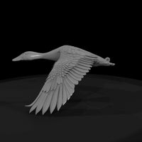 flying-duck-miniature-ho-1-87-scale-979126 — thumbnail 5