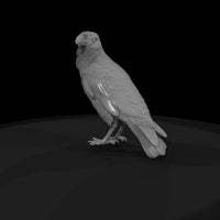 perched-raven-miniature-diorama-model-railroad-accessory-ho-1-87-976306 — thumbnail 5
