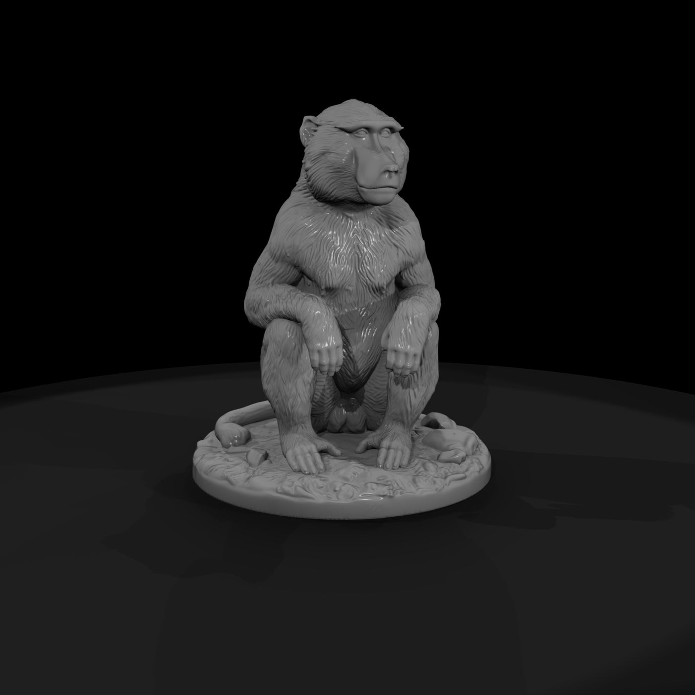 ant-197-olive-baboon-female