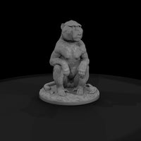 ant-197-olive-baboon-female — thumbnail 4