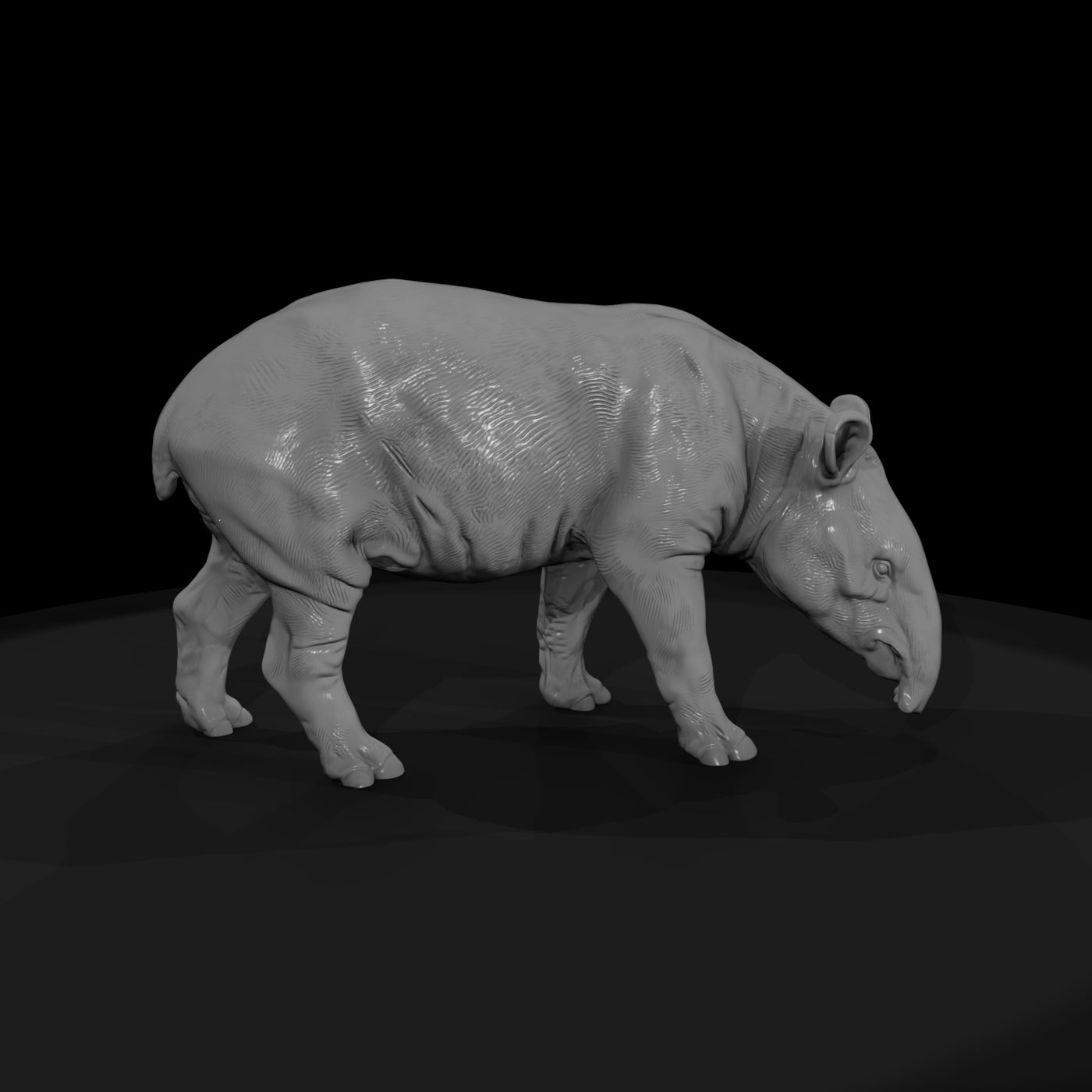 ant-253-malayan-tapir-male