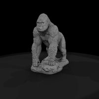 ant-037-western-gorilla-male — thumbnail 4