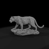 ant-007-leopard-male — thumbnail 4