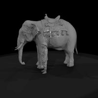 elephant — thumbnail 5