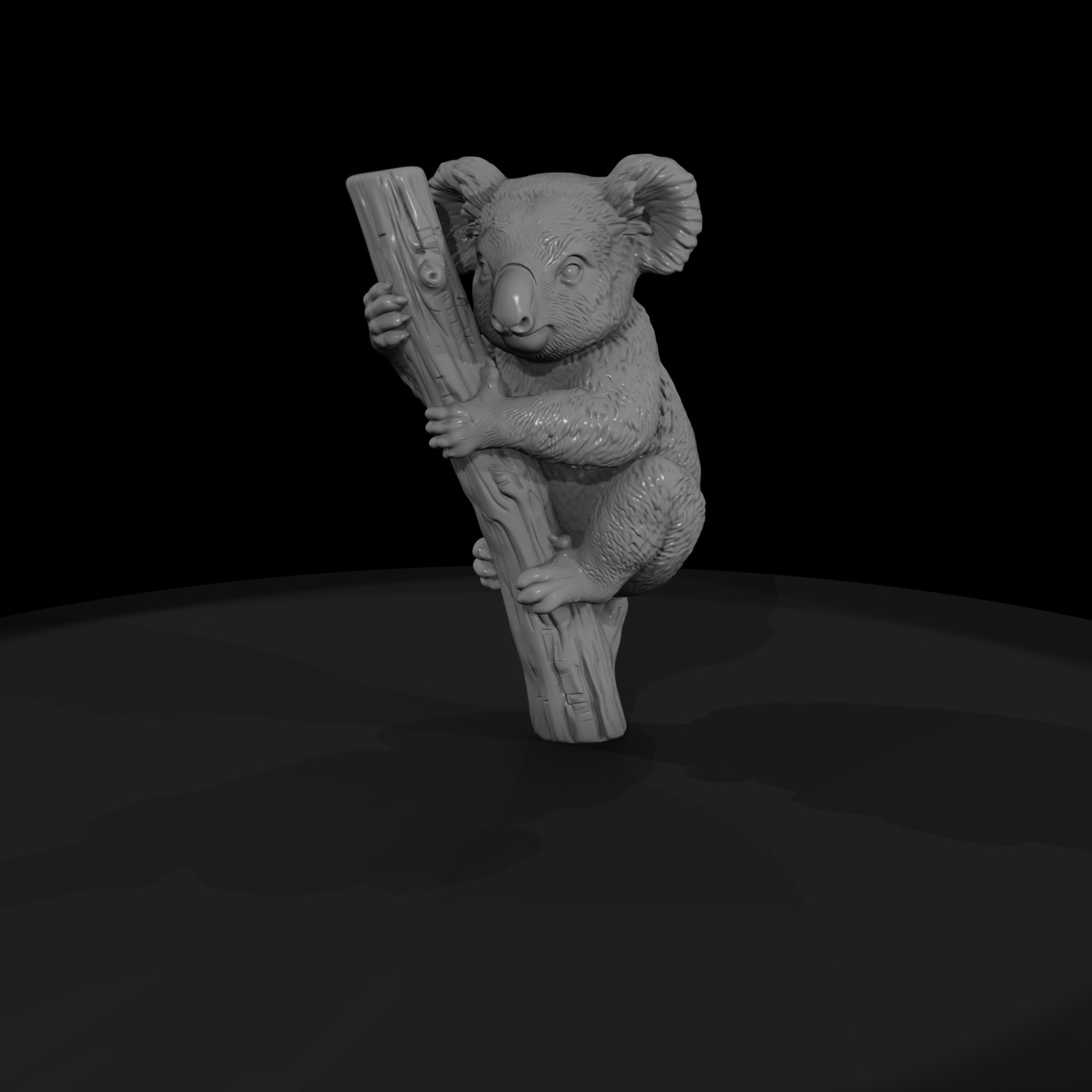 Koala Climbing a Branch