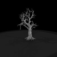 20260612-twisted-dead-tree-74f50aeae0 — thumbnail 4