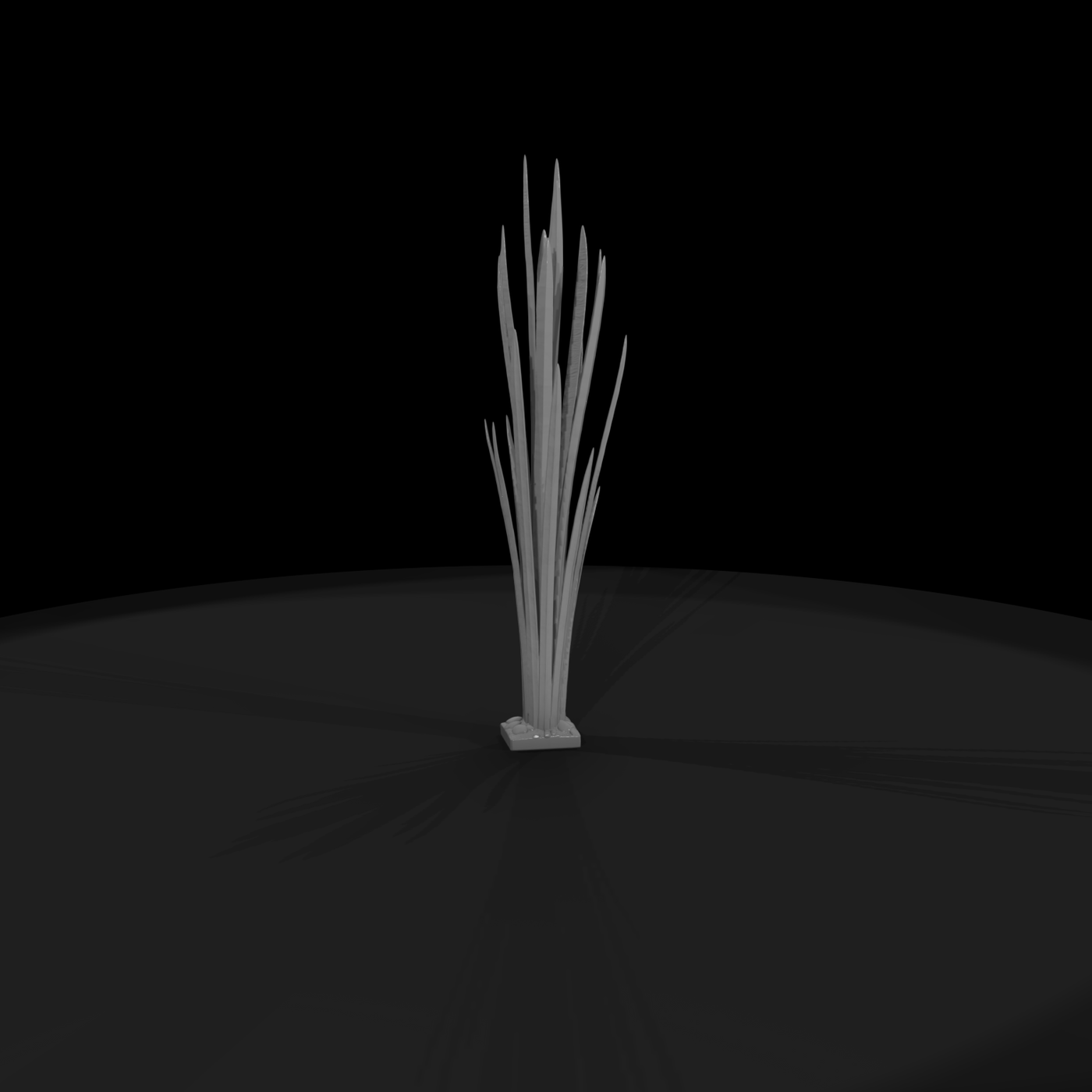 Tall Ornamental Grass Clump