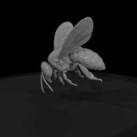 honey-bee-miniature-detailed-landing-pose-for-dioramas-displays-650462 — thumbnail 5