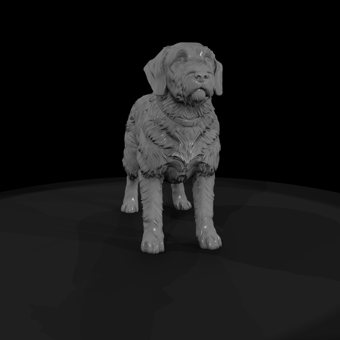 hunting-dog