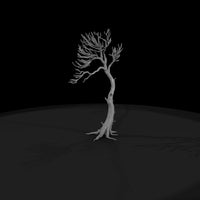 20260612-bare-tree-drawing-ab7bf01d44 — thumbnail 4