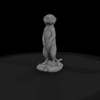 ant-192-meerkat-adolescent — thumbnail 4