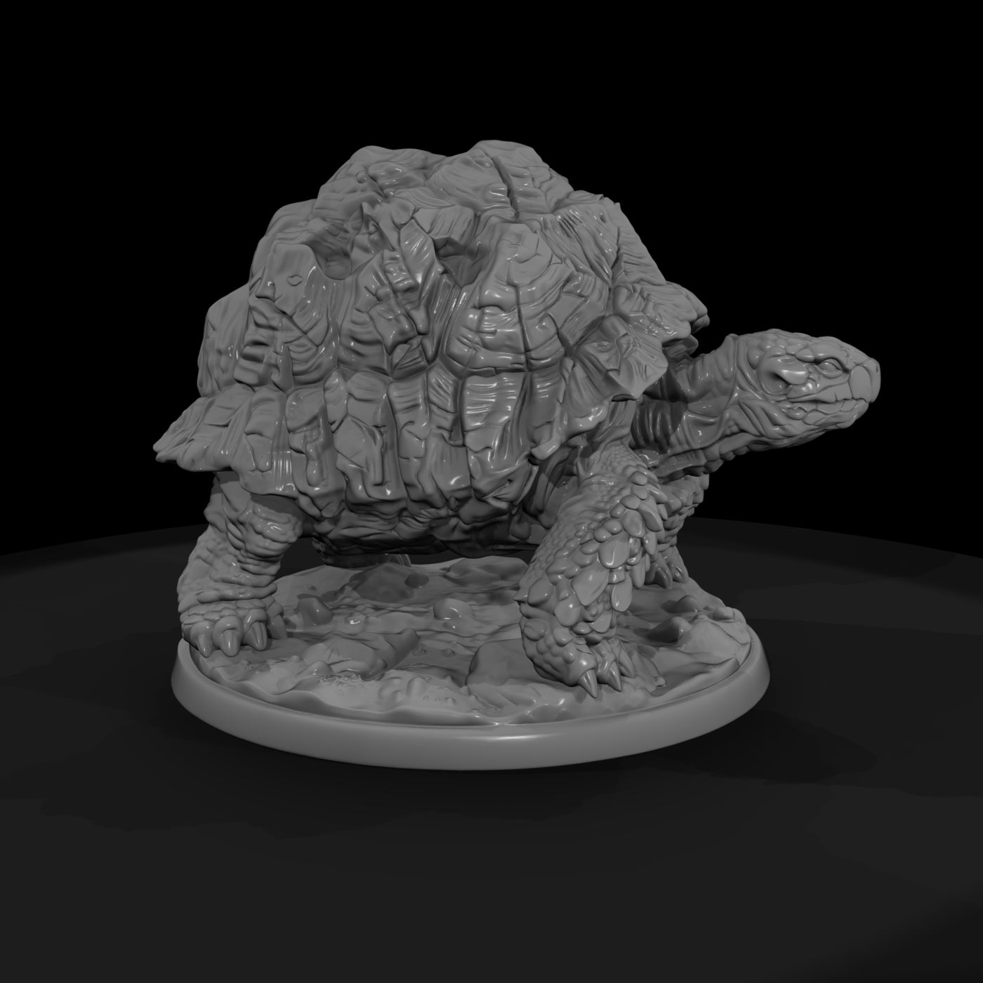 armored-rock-tortoise-043803