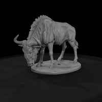 ant-226-blue-wildebeest-male — thumbnail 4