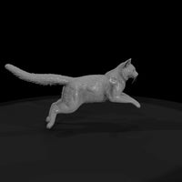 ho-scale-somali-cat-miniature-set-diorama-cats-732896 — thumbnail 5