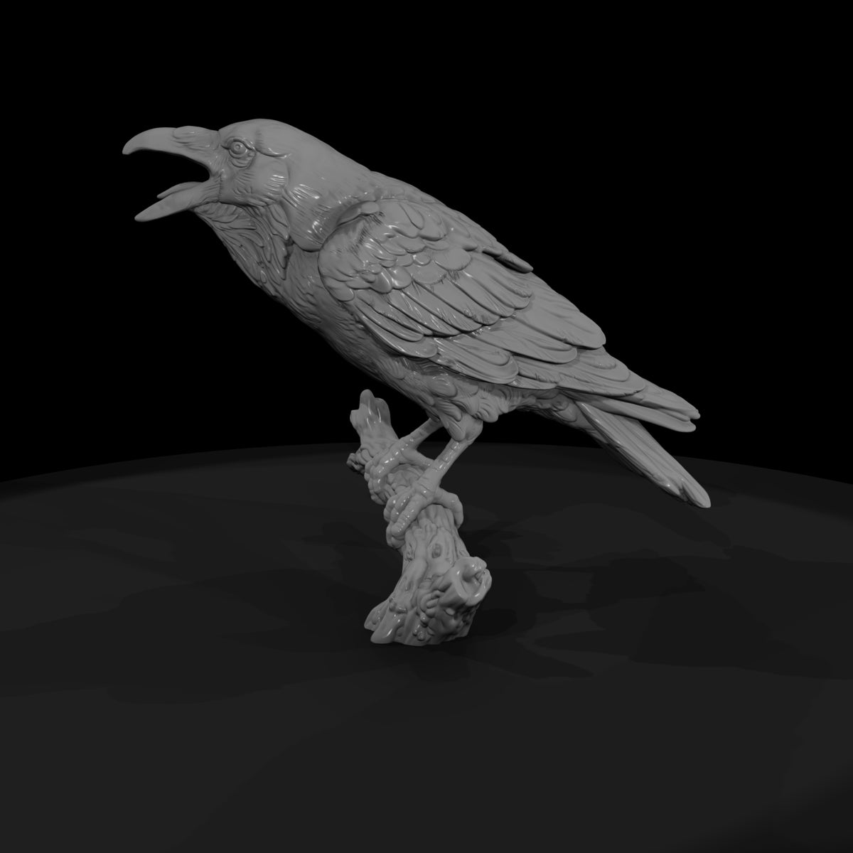 ww-0347-animal-common-raven