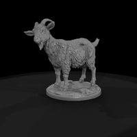 ww-0303-animal-goat — thumbnail 4