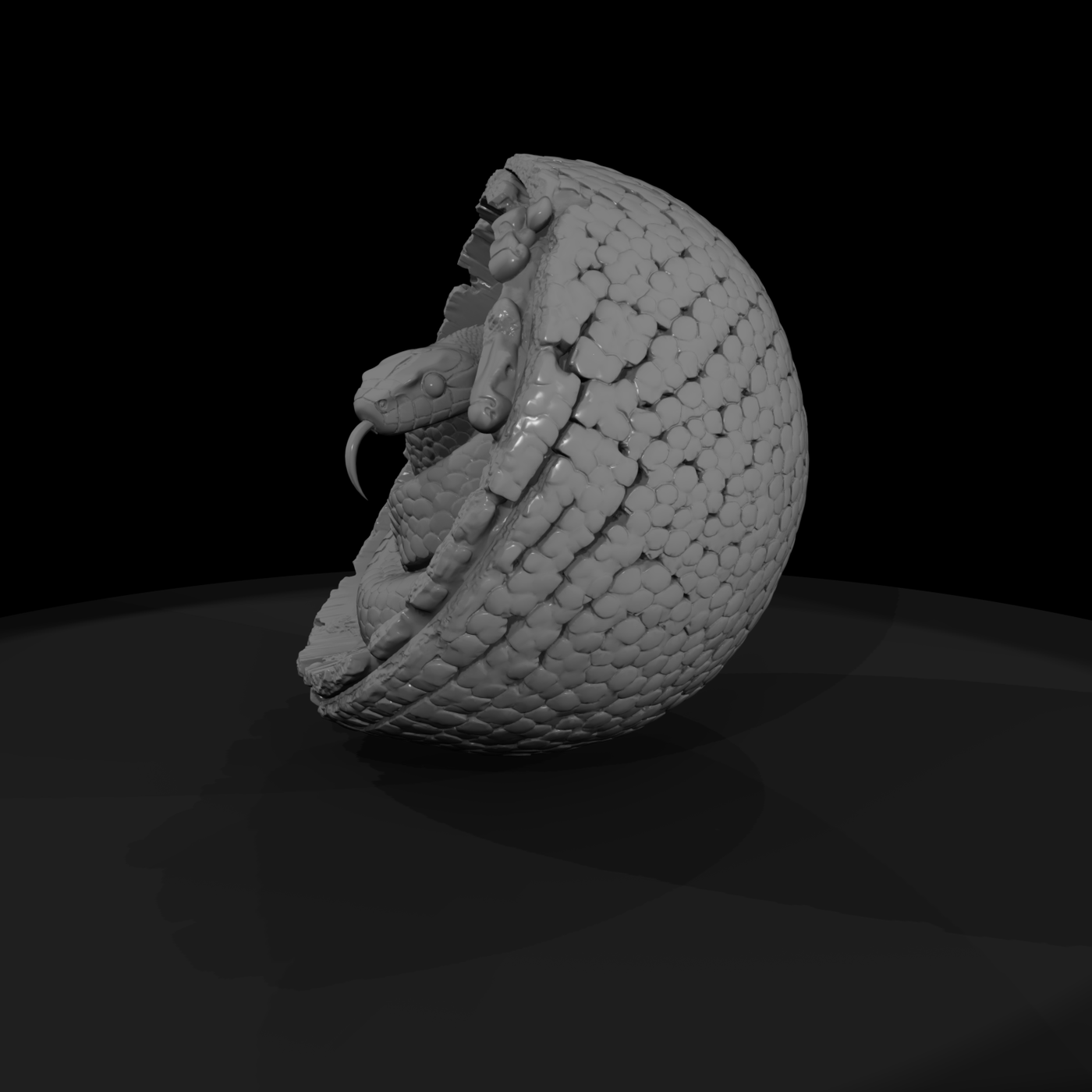 Coiled Snake in Hollow Log