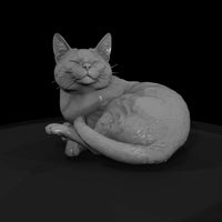 a-collection-of-housecats-sleeping-0cc2f1c3-meshre — thumbnail 4